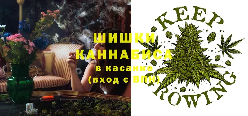 omg зеркало  Ефремов  Бошки марихуана THC 21%  купить наркоту 